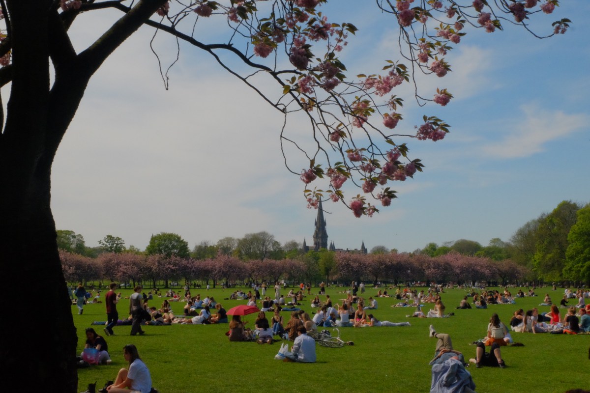 Why Walking is&nbsp;Important